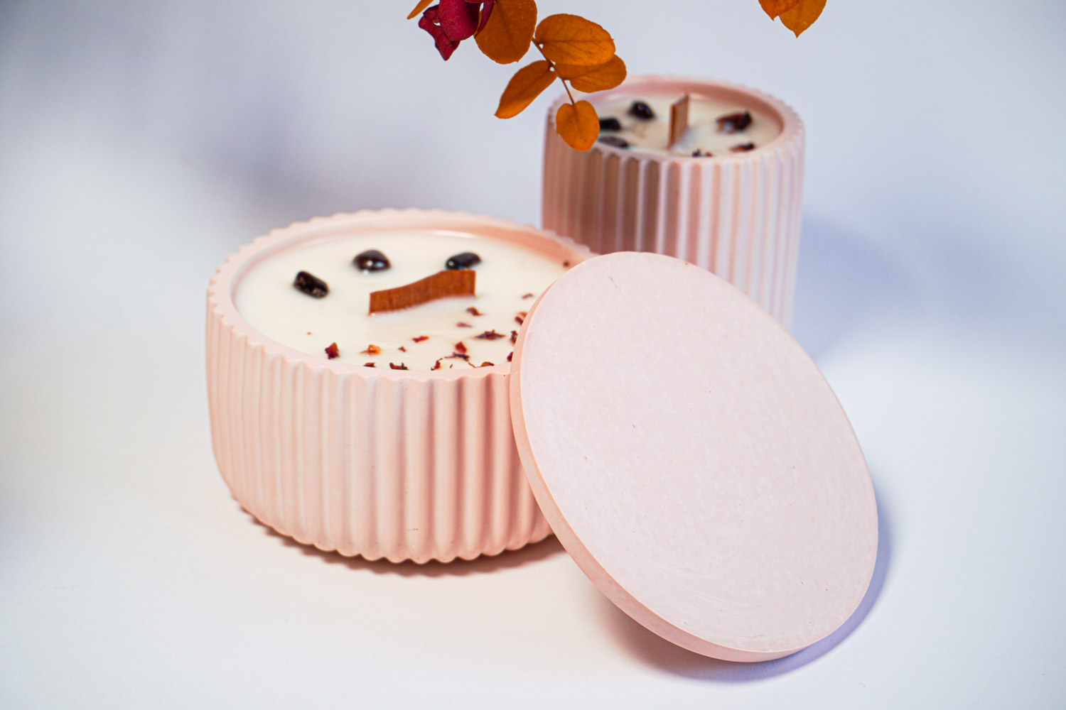 Vibe Granada y Ciruela