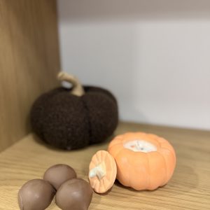 TALLER ESPECIAL OTOÑO