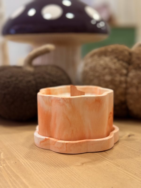 Wildflower calabaza - Imagen 2