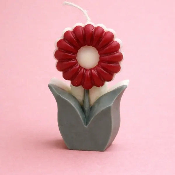 Vela Gerbera