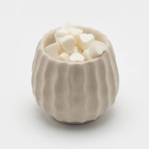 Wax Melts pack 10 unidades