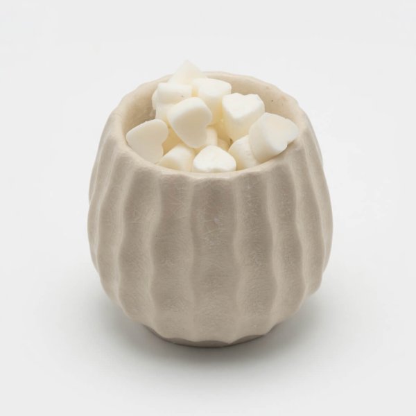 Wax Melts pack 10 unidades