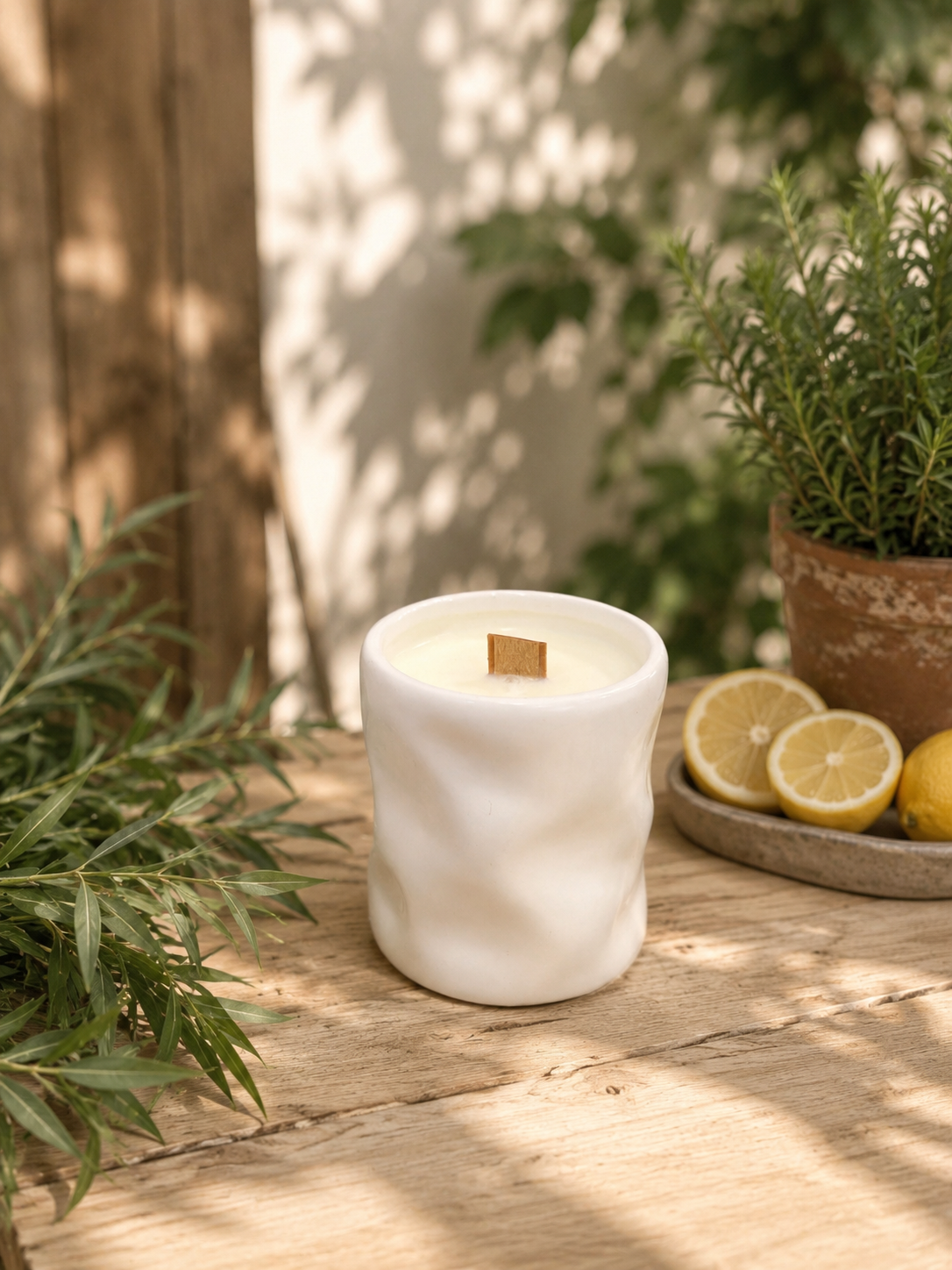 Citronela · Verano sin mosquitos